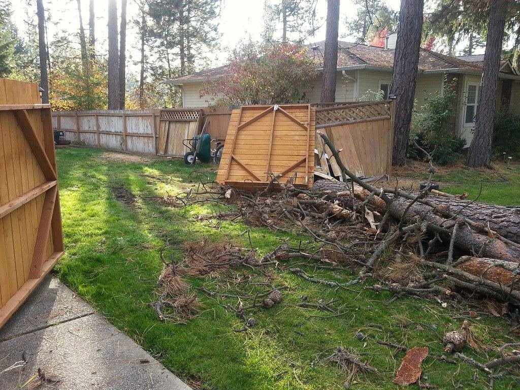 Tree fallen across a backyard fence after a storm